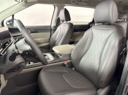 
 Kia Carnival full									