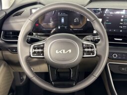 
 Kia Carnival full									
