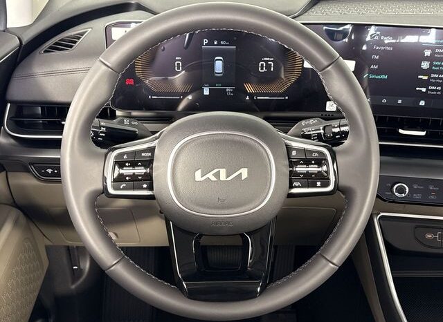 
 Kia Carnival full									