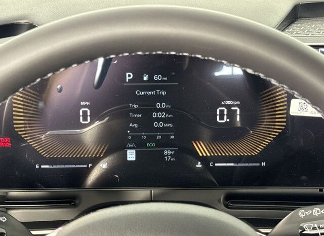 
 Kia Carnival full									