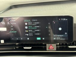 
 Kia Carnival full									