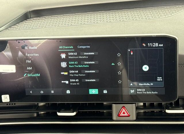 
 Kia Carnival full									