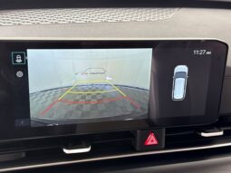 
 Kia Carnival full									