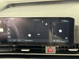 
 Kia Carnival full									