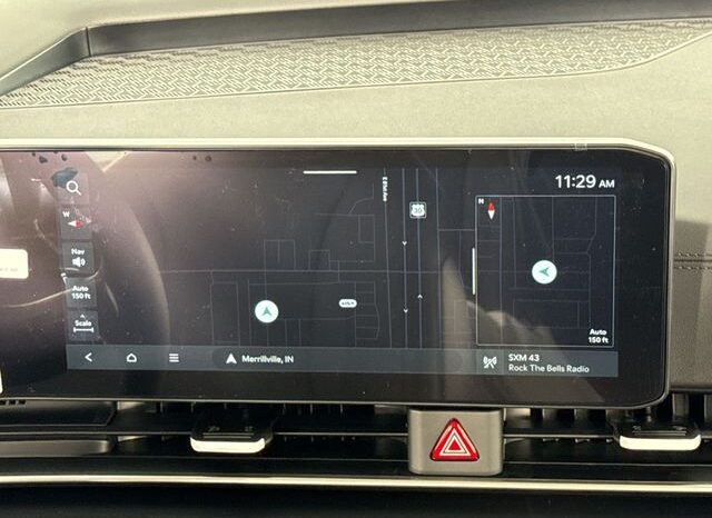 
 Kia Carnival full									