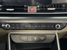 
 Kia Carnival full									