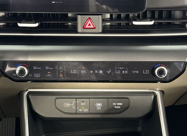 
 Kia Carnival full									