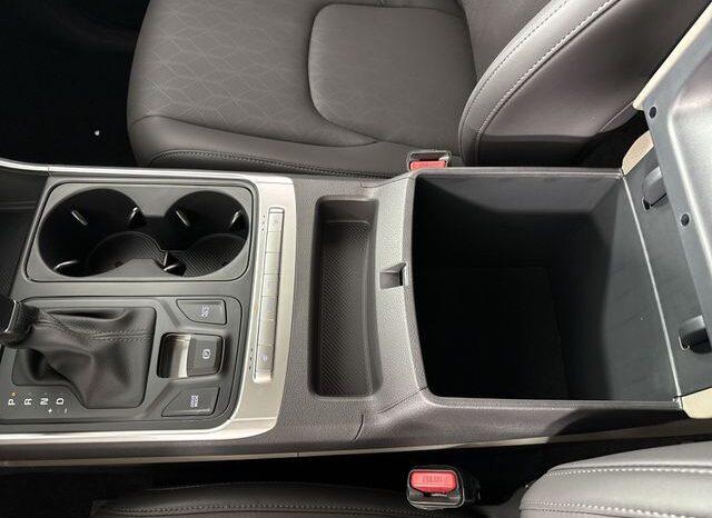 
 Kia Carnival full									