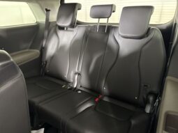 
 Kia Carnival full									