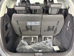 
 Kia Carnival full									