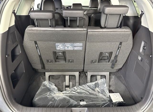 
 Kia Carnival full									