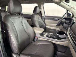 
 Kia Carnival full									