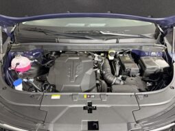 
 Kia Carnival full									