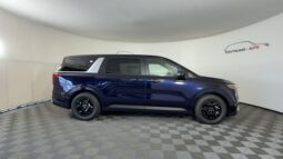 
 Kia Carnival full									