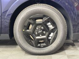 
 Kia Carnival full									