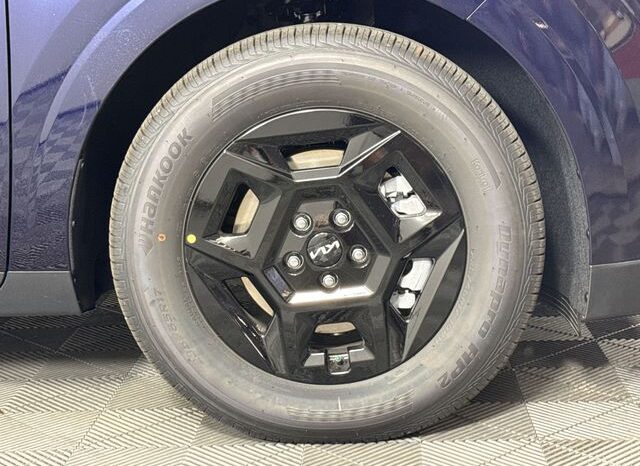 
 Kia Carnival full									