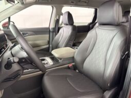 Kia Carnival full