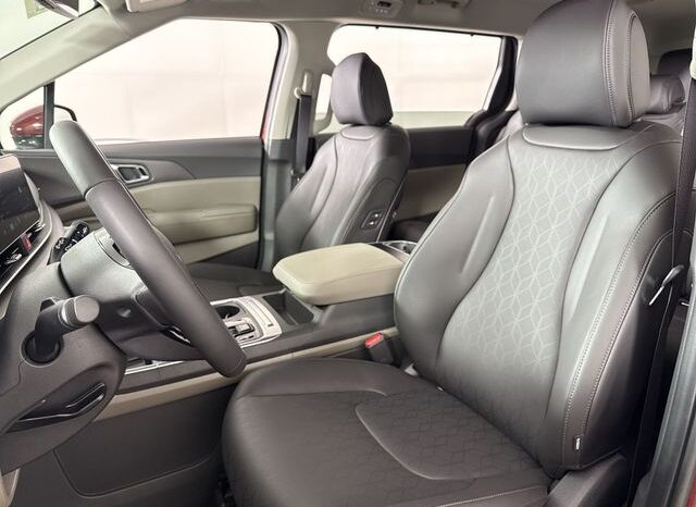 
 Kia Carnival full									