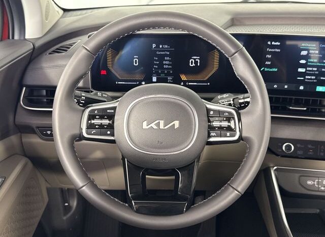
 Kia Carnival full									