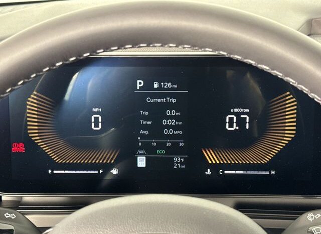 
 Kia Carnival full									