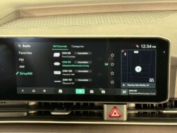 Kia Carnival full