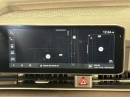 Kia Carnival full