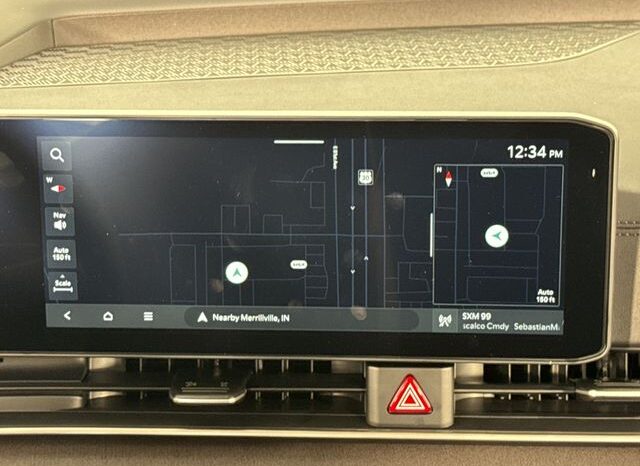 
 Kia Carnival full									