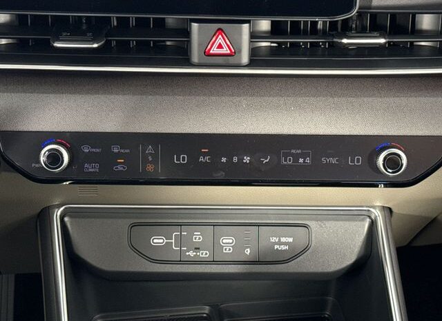 
 Kia Carnival full									