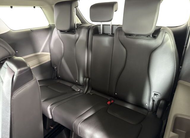
 Kia Carnival full									