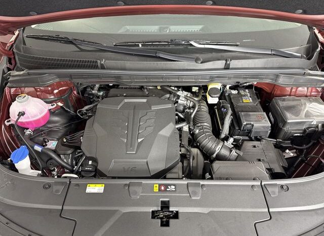 
 Kia Carnival full									