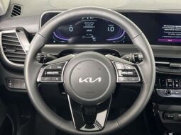 
 Kia Seltos full									