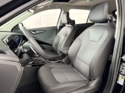 
 Kia Niro full									
