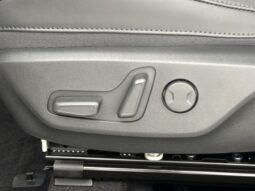 
 Kia Niro full									