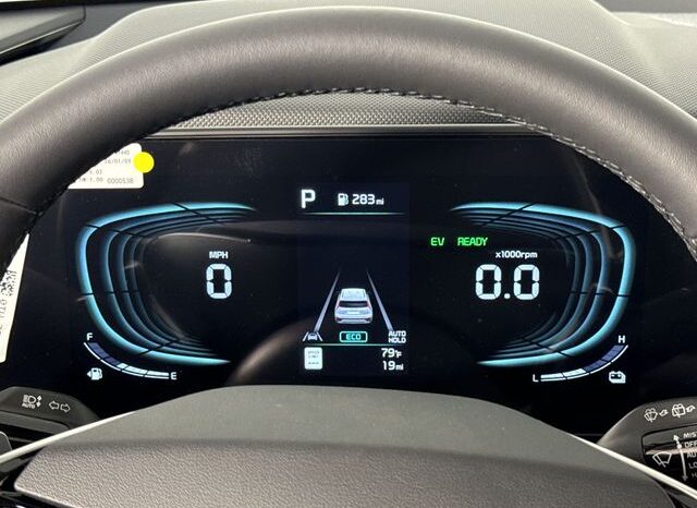 
 Kia Niro full									