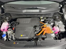 
 Kia Niro full									