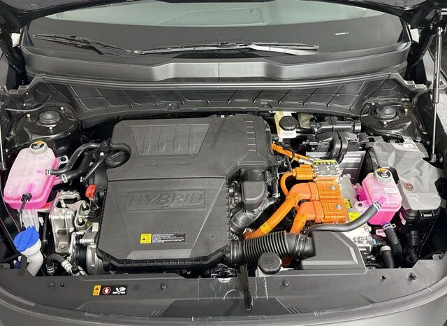 
 Kia Niro full									