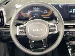 
 Kia Sorento full									