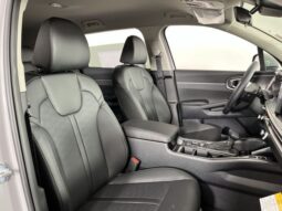 
 Kia Sorento full									