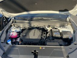 
 Kia Sorento full									