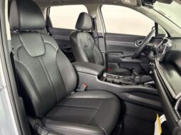 
 Kia Sorento full									