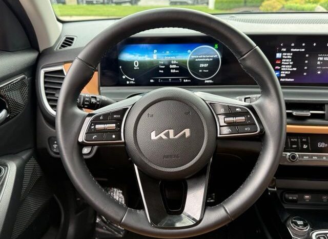 
 Kia Seltos full									