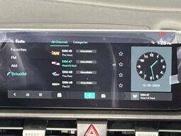 
 Kia Sportage full									