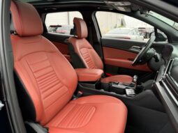 
 Kia Sportage full									