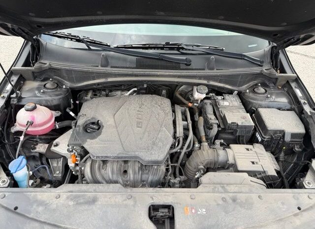 
 Kia Sportage full									