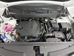 
 Kia Sportage full									