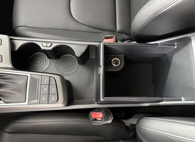 
 Kia Sportage full									