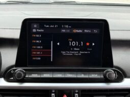 
 Kia Forte full									