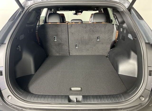
 Kia Sportage full									