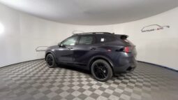 
 Kia Sportage full									