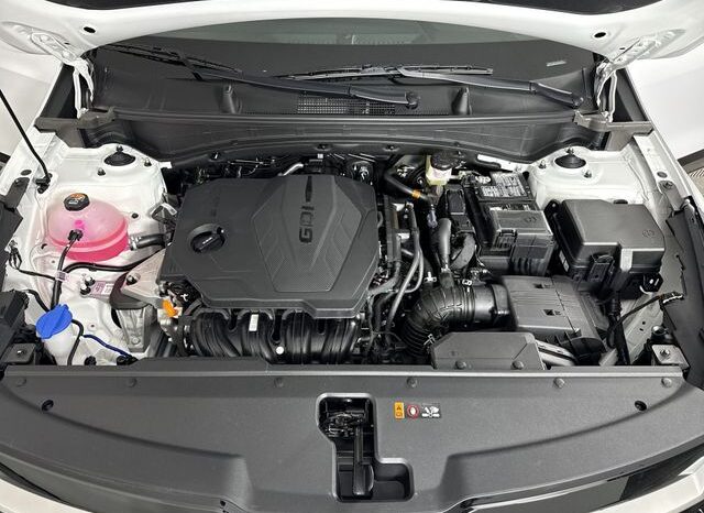 
 Kia Sportage full									